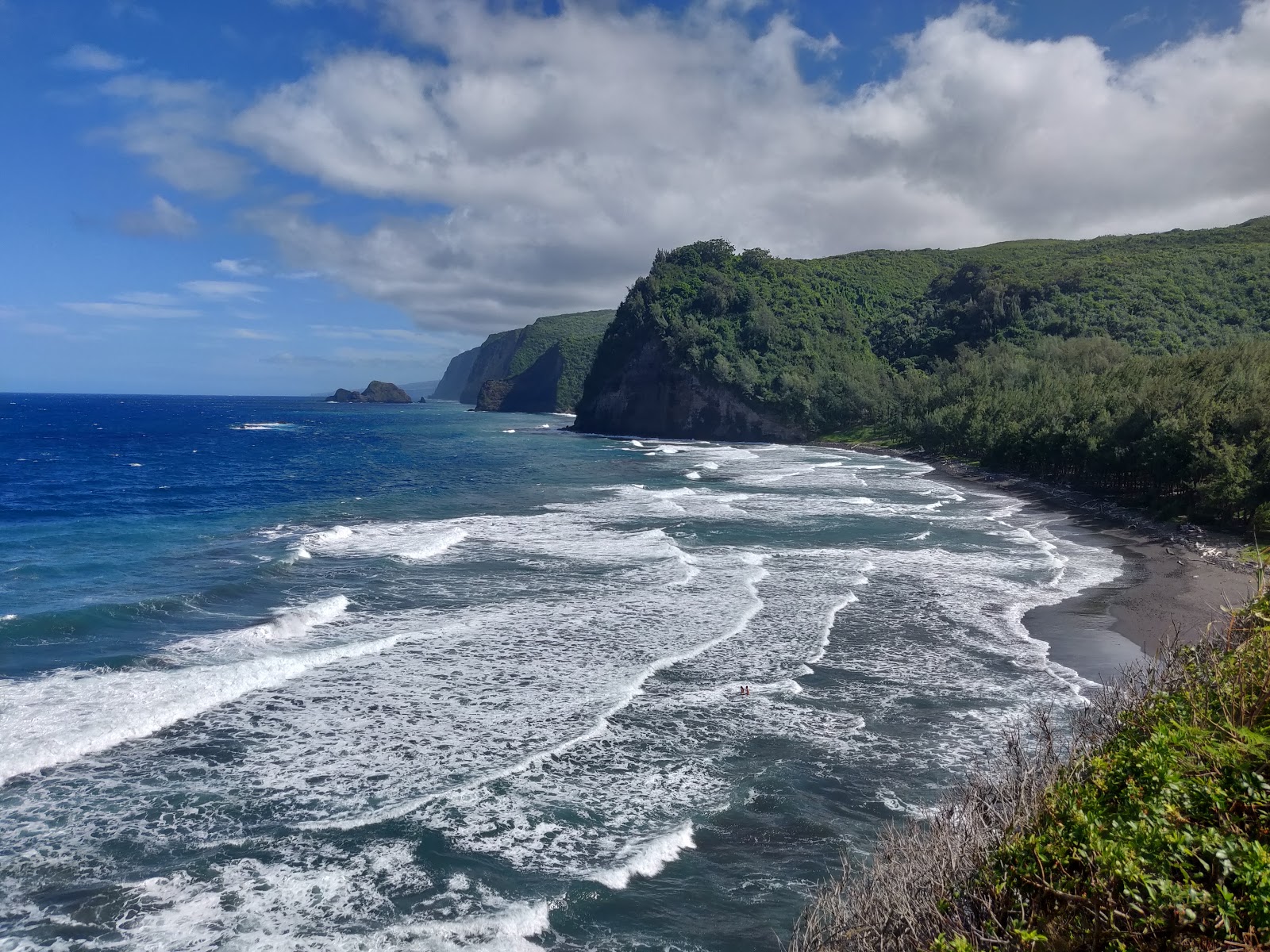 Photo of Pololu Trail with spacious shore