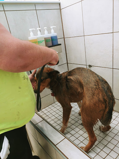 Pet Supply Store «Pet Supplies Plus», reviews and photos, 3040 Cromer Ave NW, Canton, OH 44709, USA