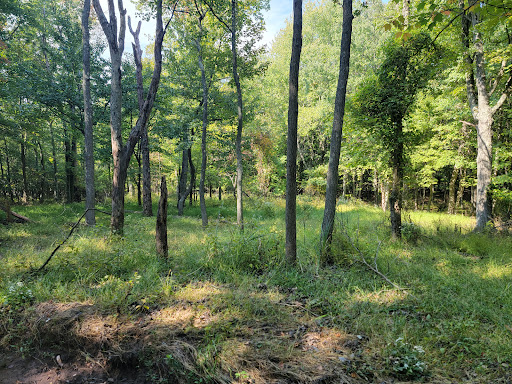 State Park «Clay Pit Ponds State Park Preserve», reviews and photos, 83 Nielsen Ave, Staten Island, NY 10309, USA