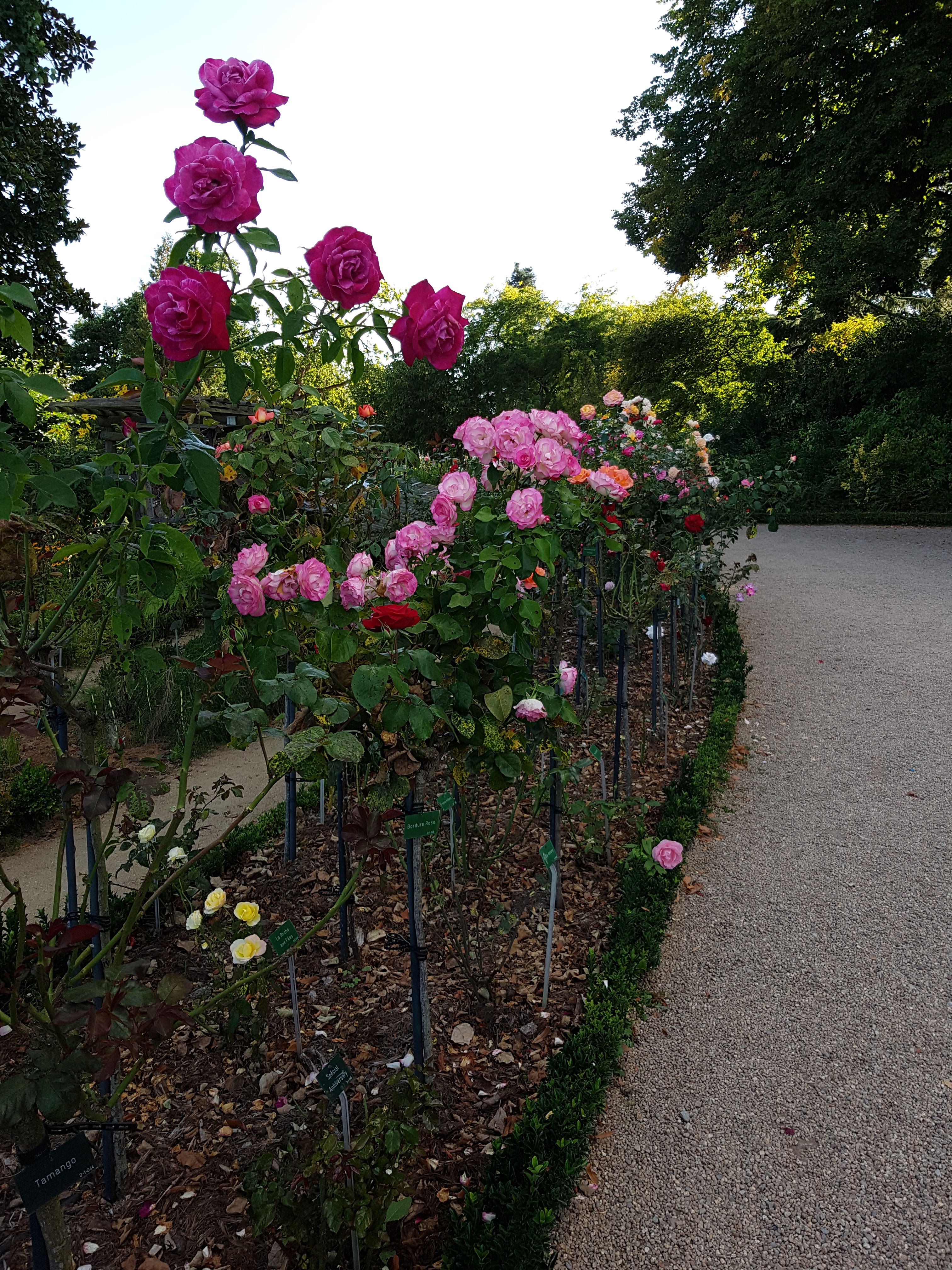 Photo n° 1 de l'avis de David.i fait le 21/08/2017 à 20:34