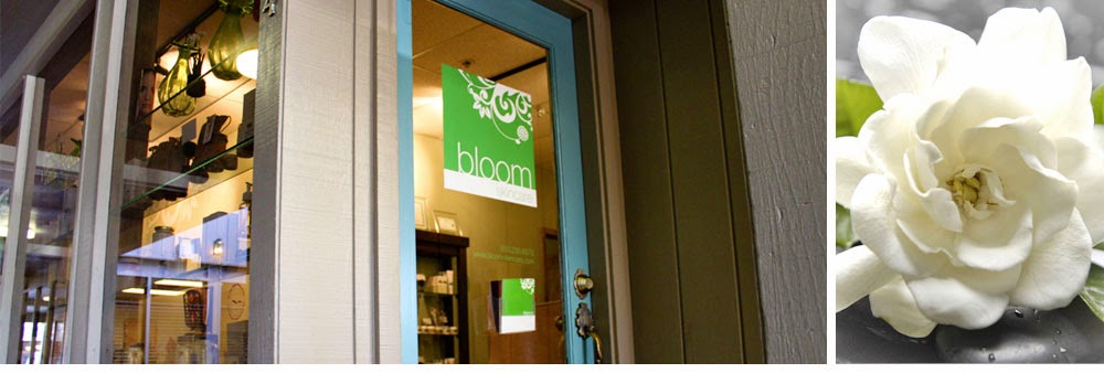 Bloom Skincare / Facials, Waxing, & Microdermabrasion 94022