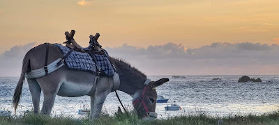Azen Randonnée Ouessant à Ouessant