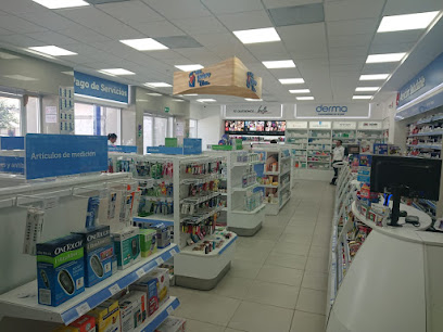 Farmacia Del Ahorro, , Torreón