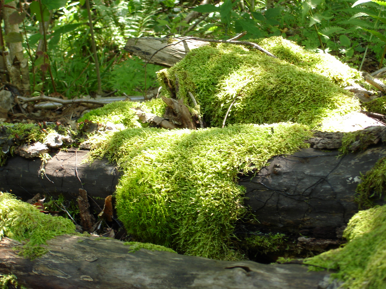 Photo n° 2 de l'avis de Laugal.a fait le 16/04/2023 à 17:05