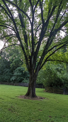 Park «Gregory Mill Park», reviews and photos, 390 Enon Springs Rd E, Smyrna, TN 37167, USA