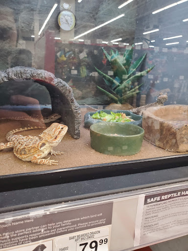 Pet Supply Store «Petco Animal Supplies», reviews and photos, 1049 S Willow St, Manchester, NH 03103, USA