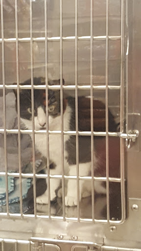 Pet Supply Store «PetSmart», reviews and photos, 4550 W Lake Mary Blvd, Lake Mary, FL 32746, USA