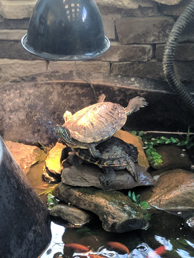 Pet Store «Woofmeow Family Pet Center», reviews and photos, 19 Manchester Rd Suite A, Derry, NH 03038, USA