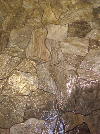 Castle One Rotary Steam Carpet Restoration - Photo 6 - Car repair in Memphis, TN, Memphis