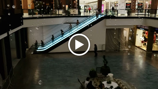 Restaurant «The Cheesecake Factory», reviews and photos, 6600 Topanga Canyon Blvd #51, Canoga Park, CA 91303, USA