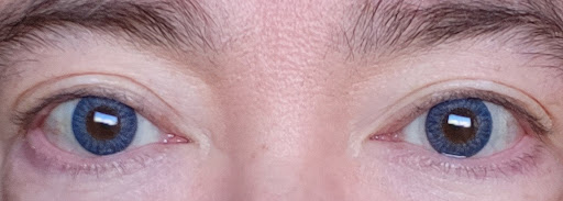 Optician «Site for Sore Eyes», reviews and photos, 300 W Portal Ave, San Francisco, CA 94127, USA