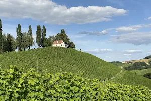 Weingut Buschenschank Gästezimmer Adam-Schererkogl image