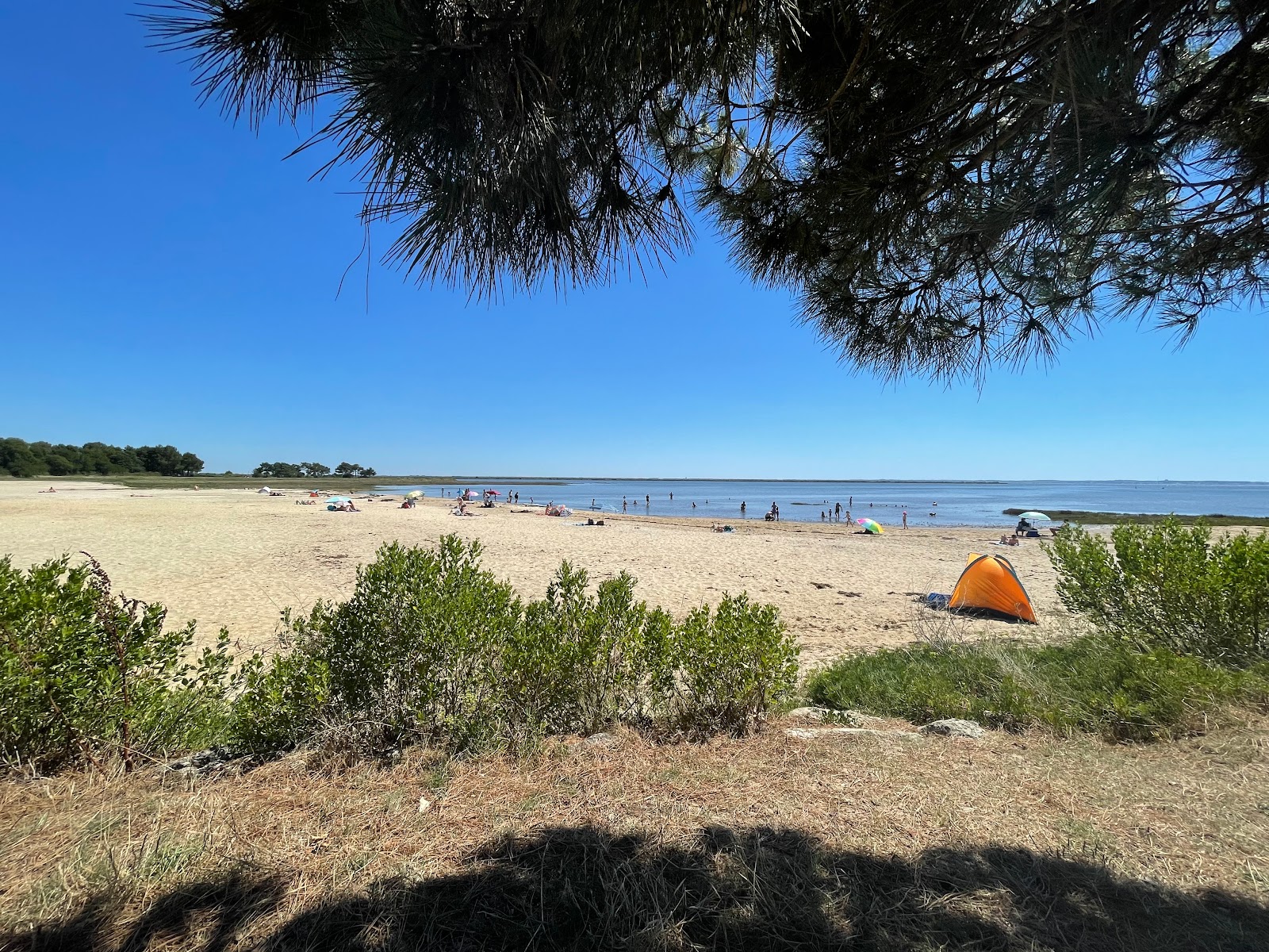 Photo de Suzette Beach avec un rivage spacieux