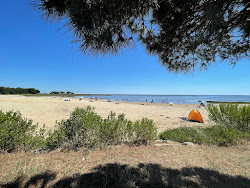 Photo de Suzette Beach avec un rivage spacieux