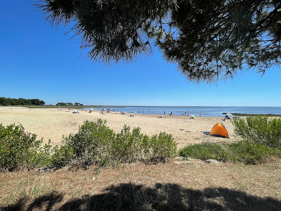 Suzette Beach