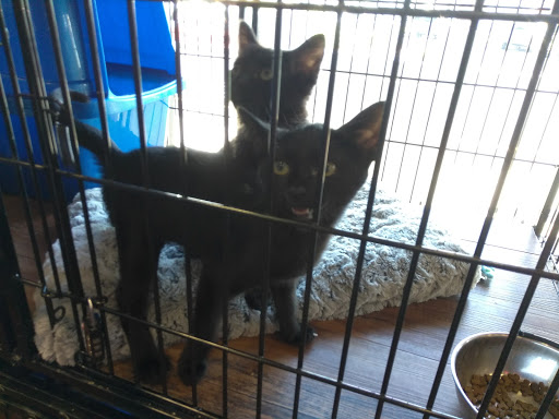 Pet Store «Pet Valu», reviews and photos, 511 S Oxford Valley Rd, Fairless Hills, PA 19030, USA