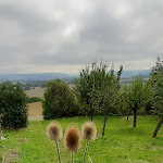 Photo n°6 de l'avis de Hans-Jürgen.i fait le 09/08/2023 à 07:52 sur le  Hotel Pfefferhöhe Alsfeld à Alsfeld