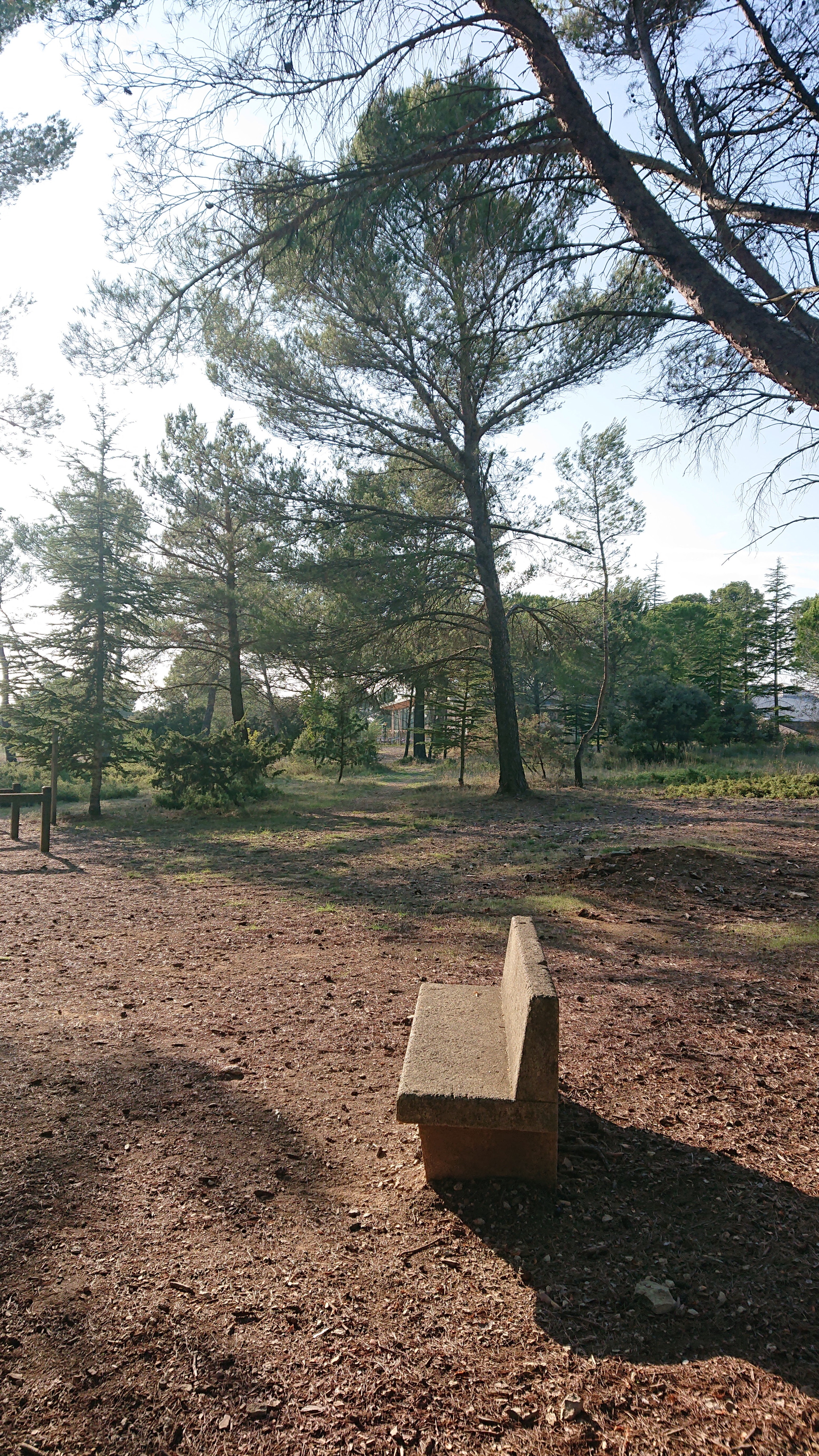 Photo n° 12 de l'avis de Pascal.S fait le 01/10/2019 à 15:21