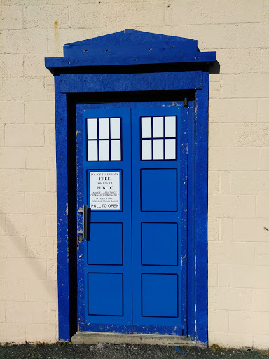 Comic Book Store «Quick Stop Comics Shop», reviews and photos, 3955 Dix Hwy, Lincoln Park, MI 48146, USA