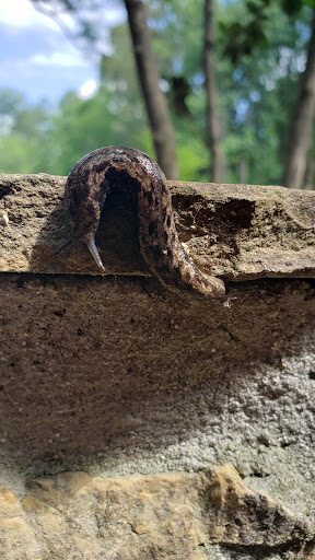 Non-Profit Organization «Dauset Trails Nature Center», reviews and photos, 360 Mt Vernon Church Rd, Jackson, GA 30233, USA