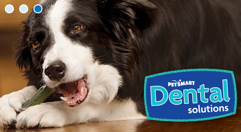 Pet Supply Store «PetSmart», reviews and photos, 743 E State St, Athens, OH 45701, USA