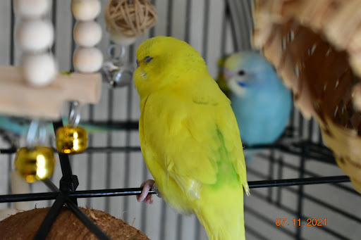 Tropical Fish Store «Midway Tropical Fish & Pets», reviews and photos, 24101 Pacific Hwy S, Kent, WA 98032, USA