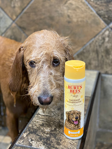 Pet Store «Pet Valu», reviews and photos, 384 E Penn Dr, Enola, PA 17025, USA