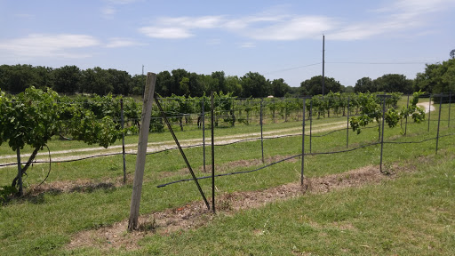 Winery «Brushy Creek Vineyards», reviews and photos, 572 Co Rd 2798, Alvord, TX 76225, USA