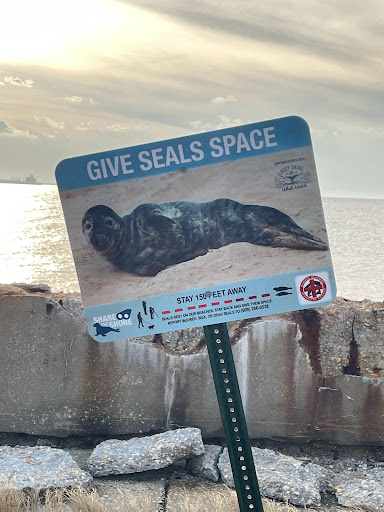 Campground «Camp Gateway - Sandy Hook», reviews and photos, 26 Hudson Rd, Highlands, NJ 07732, USA