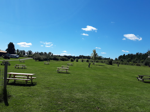 Winery «Saint Croix Vineyards», reviews and photos, 6428 Manning Ave N, Stillwater, MN 55082, USA