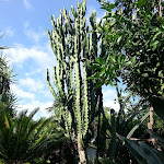 Photo n°17 de l'avis de Daniela.a fait le 11/07/2017 à 15:19 sur le  Hotel Tirreno Residence à Procida