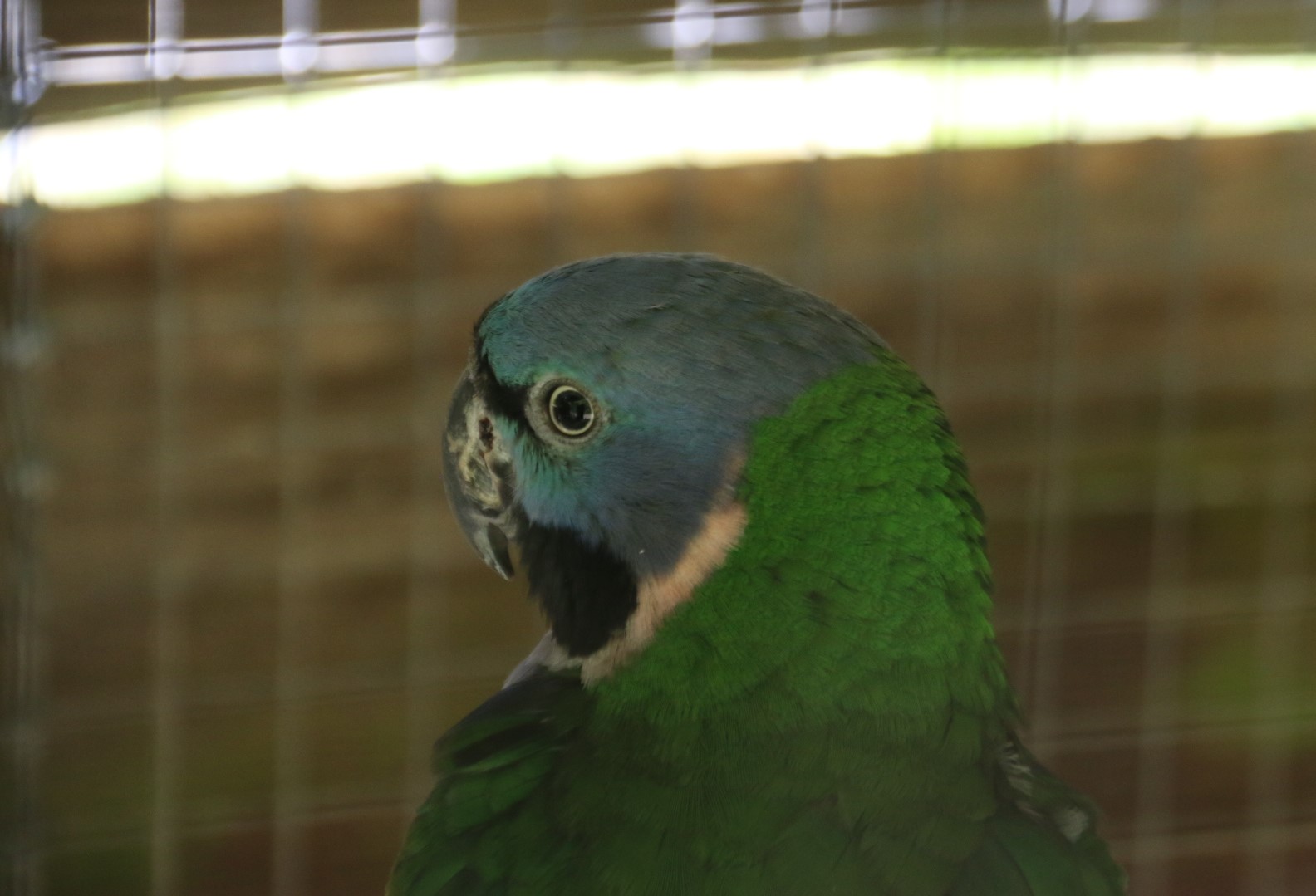 Photo n° 16 de l'avis de Patrice.o fait le 18/08/2023 à 18:06