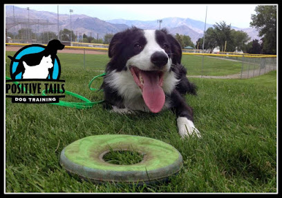 Positive Tails Dog Training
