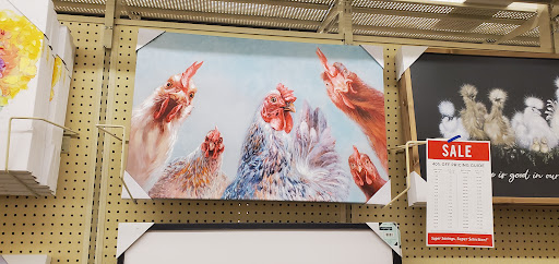 Craft Store «Hobby Lobby», reviews and photos, 901 S Interstate Hwy 35 #101, Georgetown, TX 78626, USA