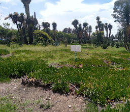 Alameda Oriente photo