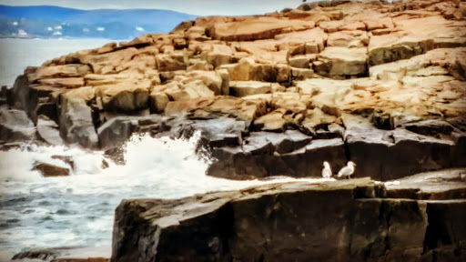 Vista Point «Schoodic Point», reviews and photos, Arey Cove Rd, Winter Harbor, ME 04693, USA