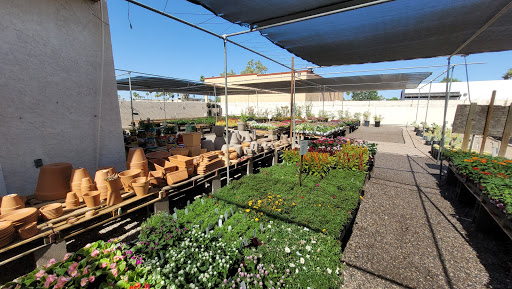 A & P Nursery