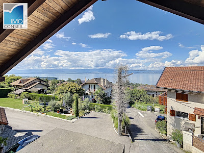 Gilles DAMEVIN Agent Immobilier Imoconseil EVIAN à Publier