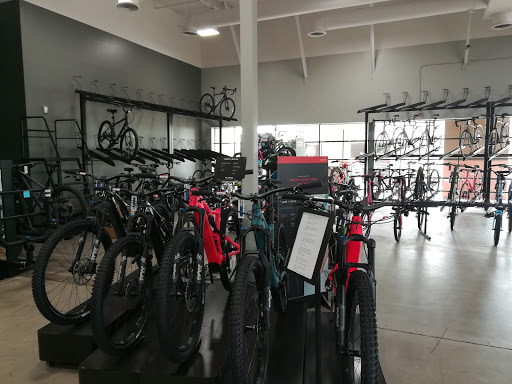Bicycle Store «Bike Masters», reviews and photos, 2031 N Power Rd #101, Mesa, AZ 85215, USA