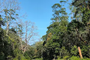 Vallakadavu Forest Check Post image