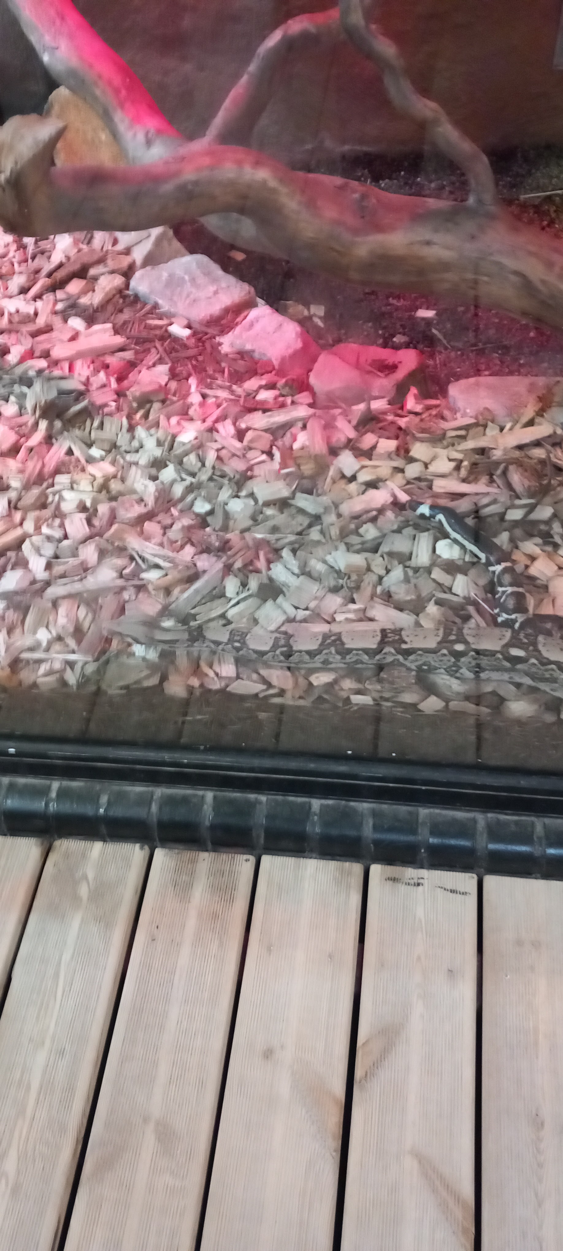 Photo n° 5 de l'avis de Laurent.e fait le 20/09/2023 à 12:16