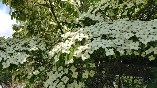 Home Improvement Store «The Home Depot», reviews and photos, 7 N Park Dr, Newton, NJ 07860, USA