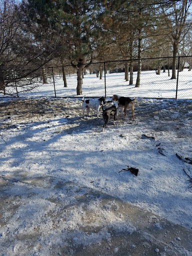Dog Park «Norwood Park Dog Friendly Area», reviews and photos, 5850 N Avondale Ave, Chicago, IL 60631, USA