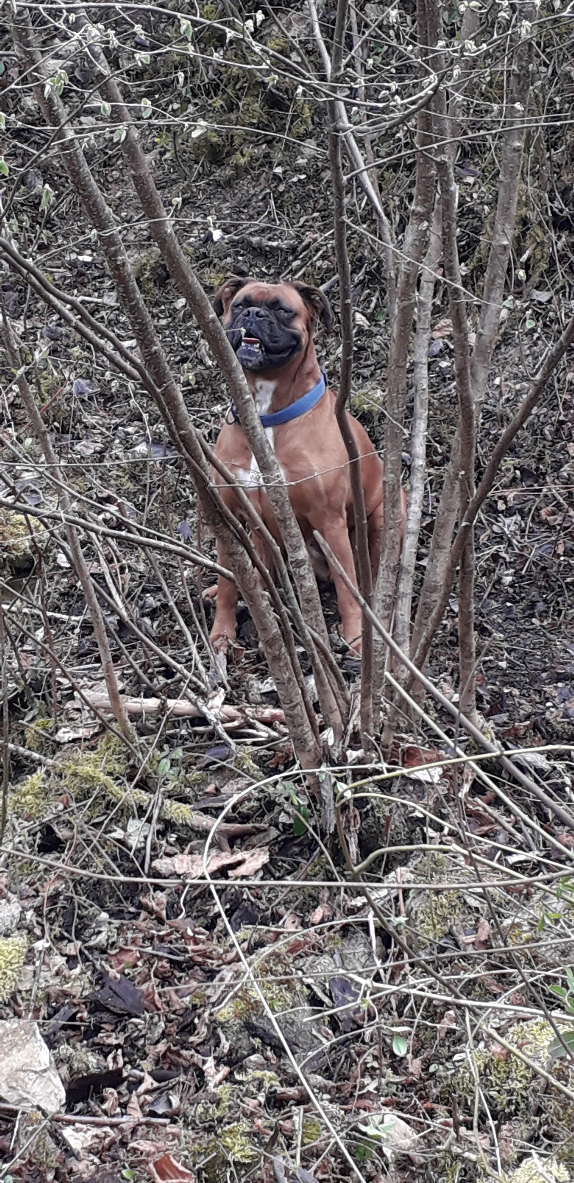 Photo n° 1 de l'avis de walter.a fait le 25/05/2021 à 13:14