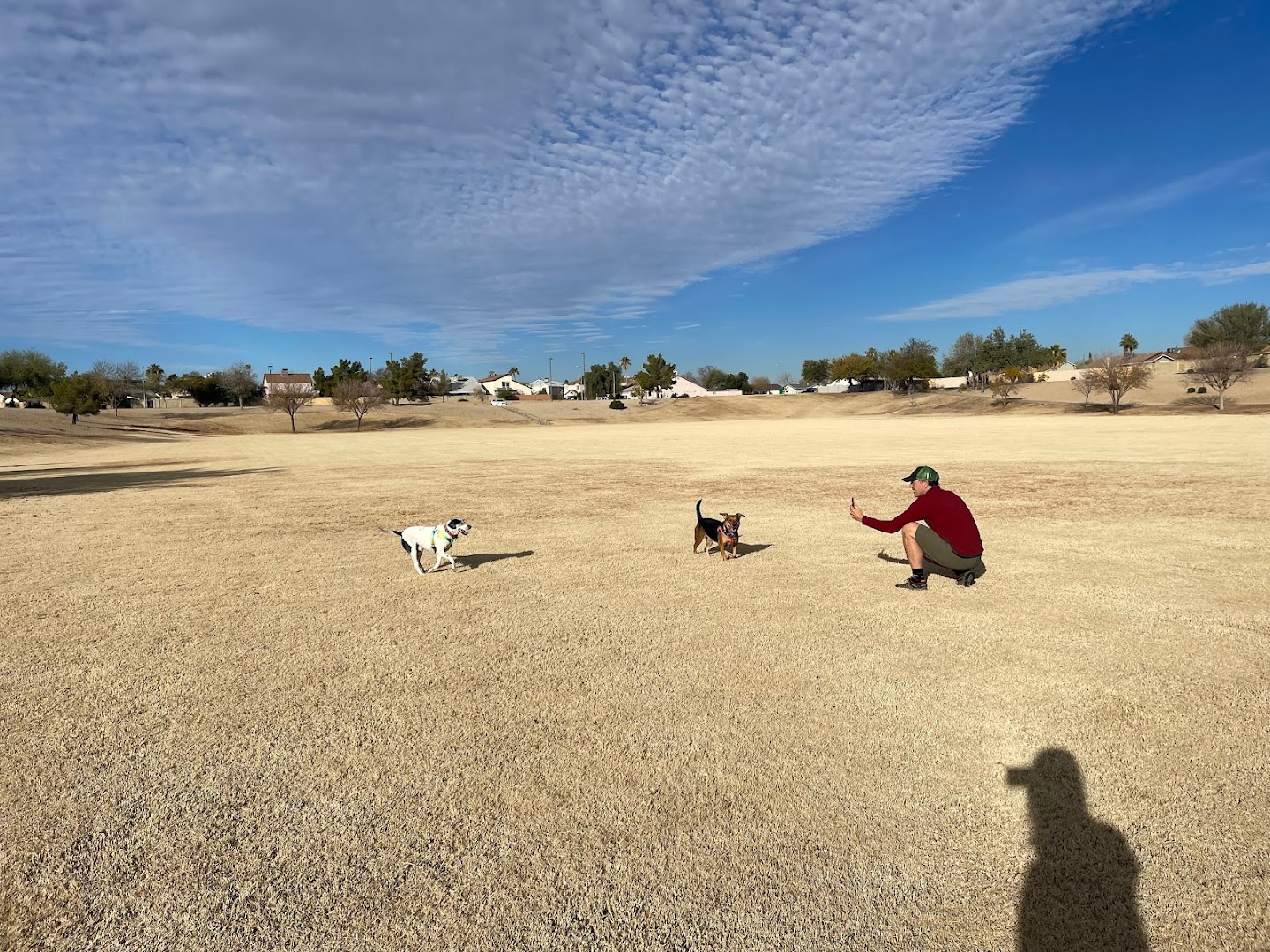 Sunnyslope Dog Park