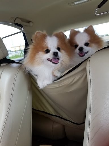 Pet Supply Store «PetSmart», reviews and photos, 8014 Old Carriage Ct, Shakopee, MN 55379, USA