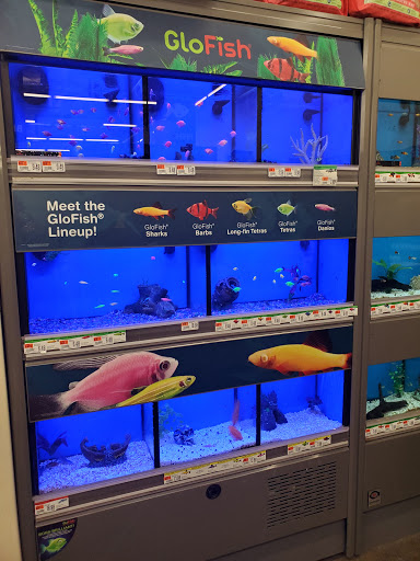 Pet Supply Store «Pet Supplies Plus», reviews and photos, 720 Hoosick Rd, Troy, NY 12180, USA