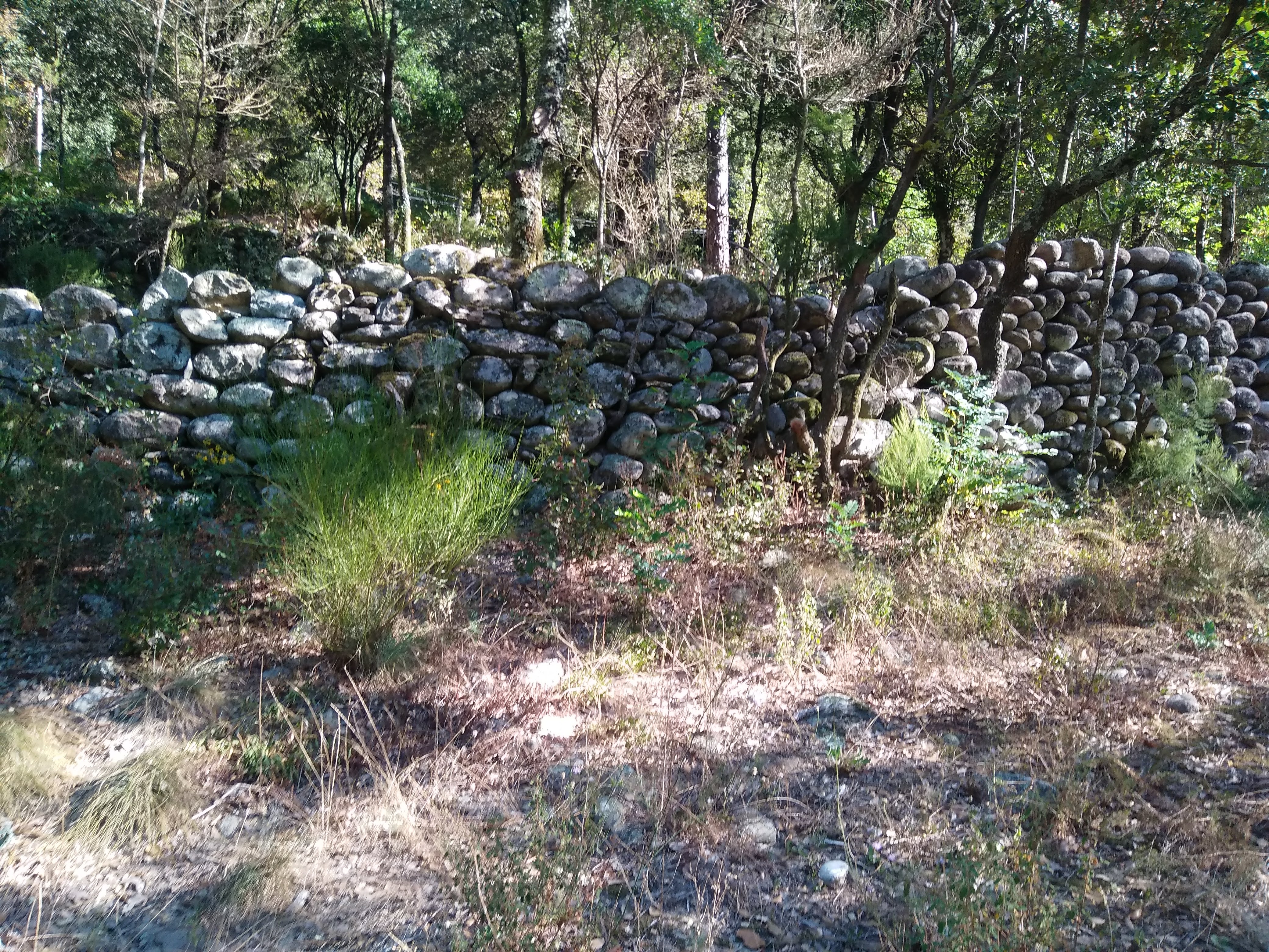 Photo n° 9 de l'avis de Véronique.a fait le 01/04/2019 à 15:52