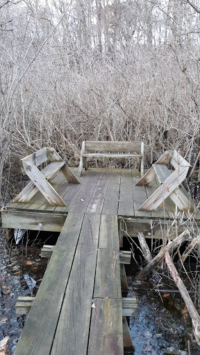 Nature Preserve «Mud Lake Bog Nature Preserve», reviews and photos, 905 E Elm Valley Rd, Buchanan, MI 49107, USA