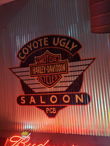 Bar «Coyote Ugly», reviews and photos, 10512 Front Beach Rd, Panama City Beach, FL 32407, USA